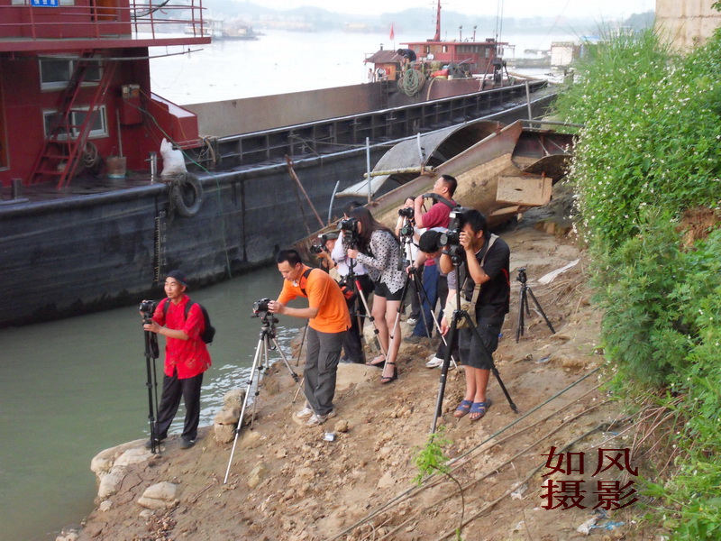 SDC12968.jpg