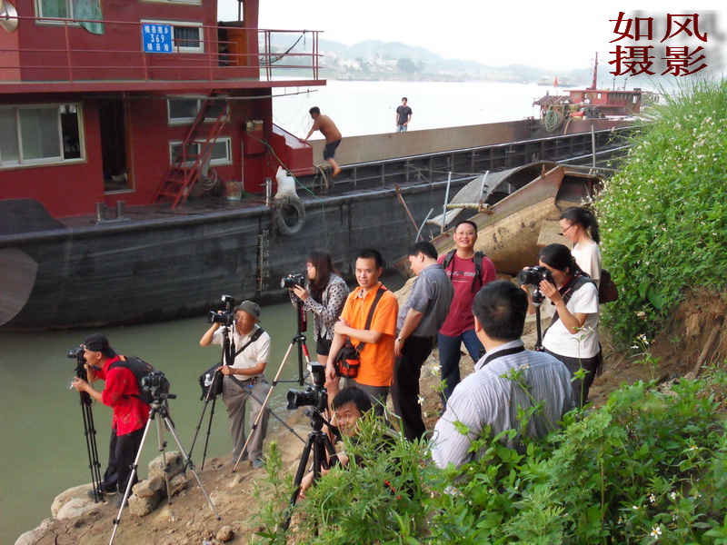 SDC12979.jpg