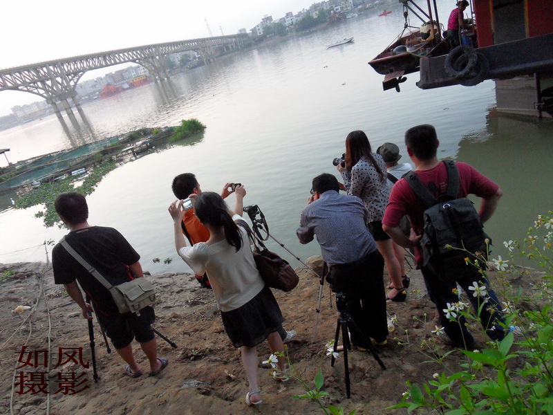 SDC12985.jpg