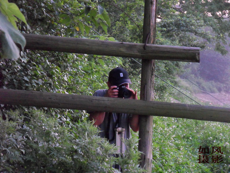 SDC12988.jpg