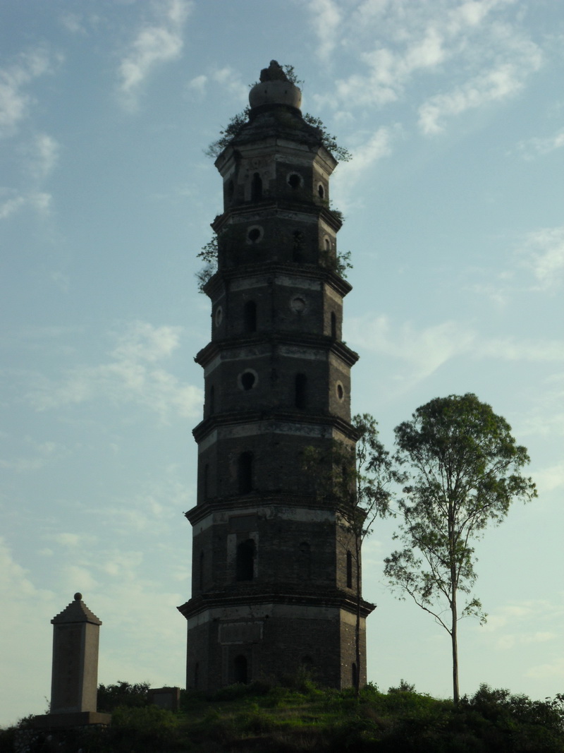 SDC12778.jpg