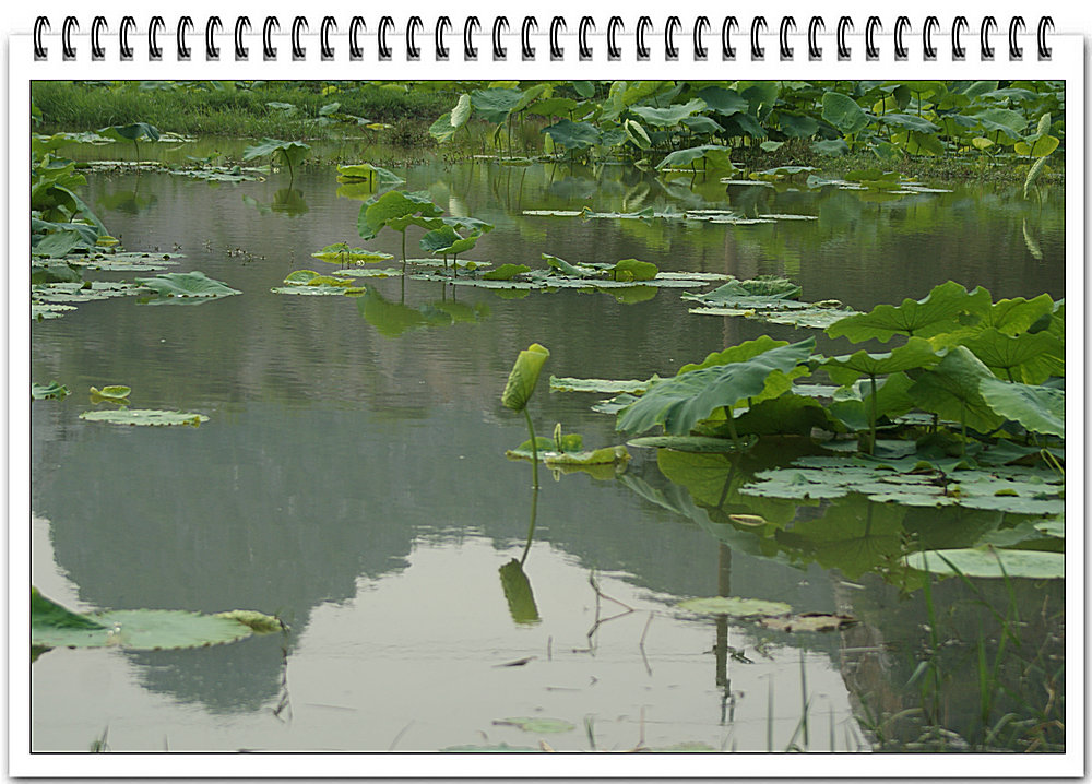 DSC01860.JPG