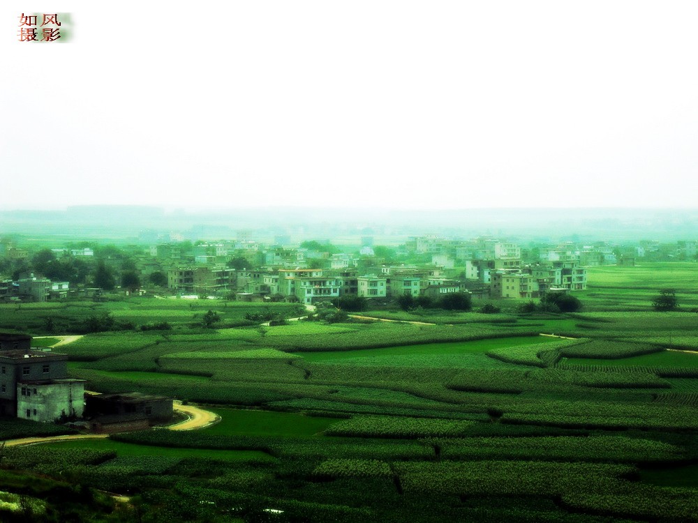 SDC13210_conew2.jpg