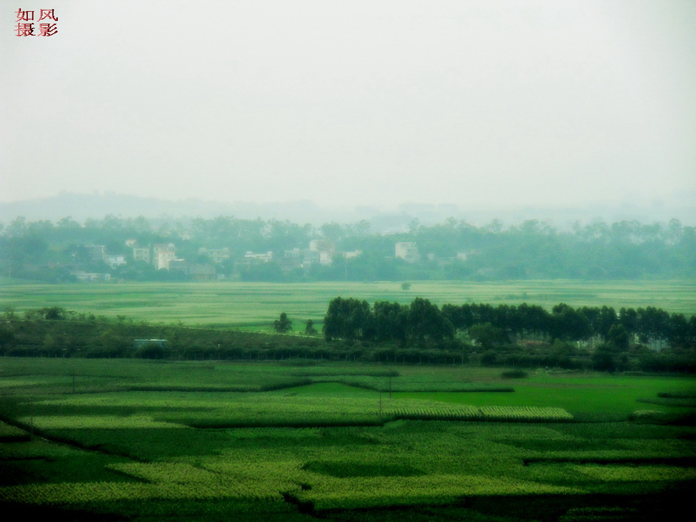 SDC13213_conew1.jpg