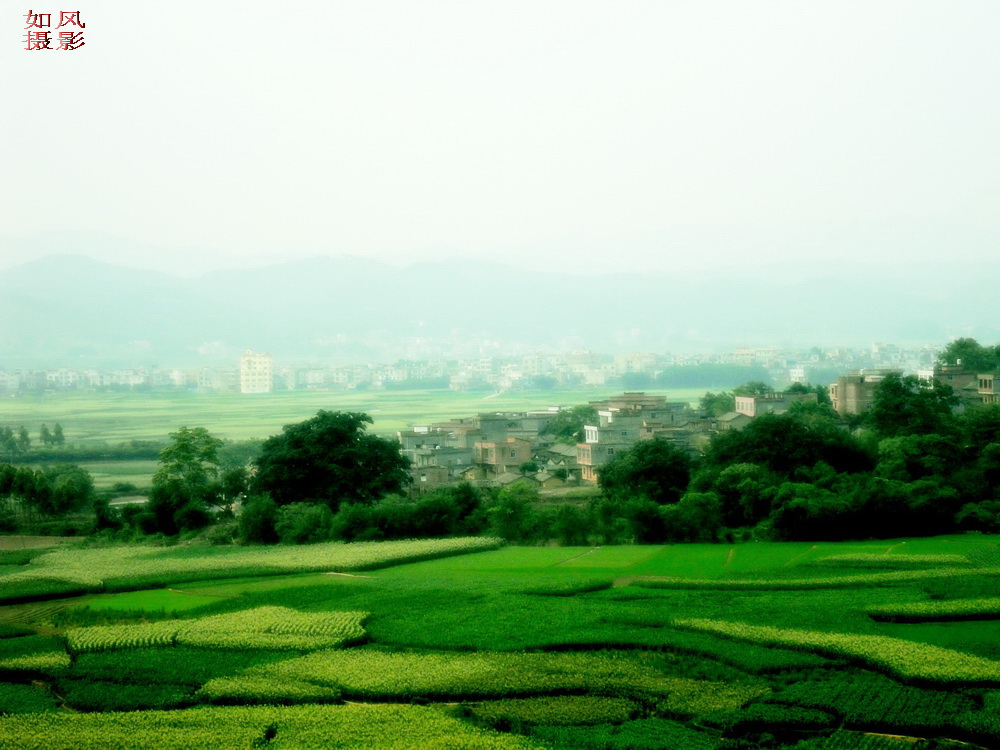 SDC13218_conew1.jpg