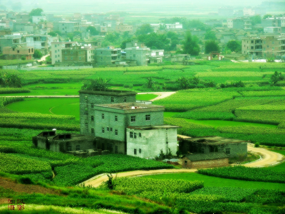 SDC13225_conew1.jpg