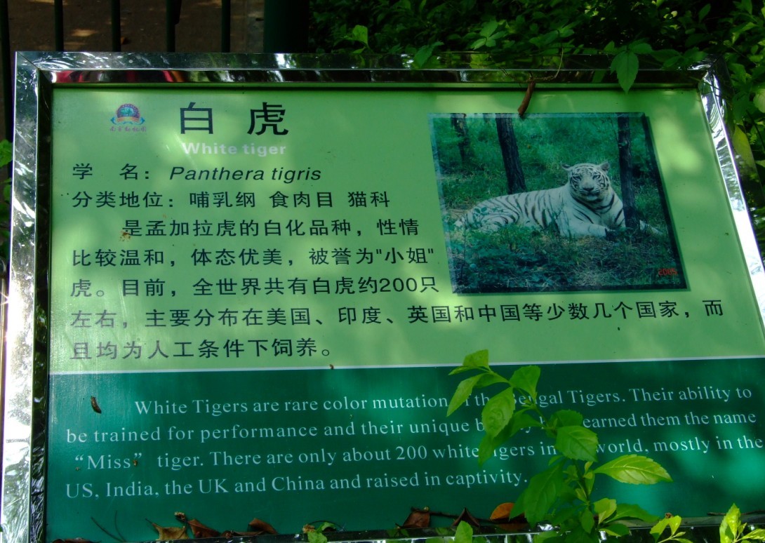 36.jpg