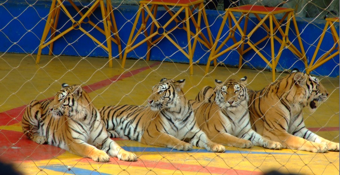 65.jpg
