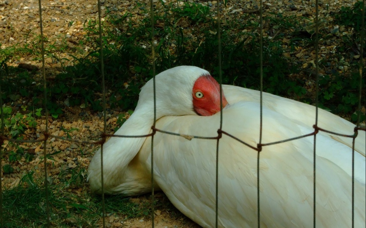 76.jpg