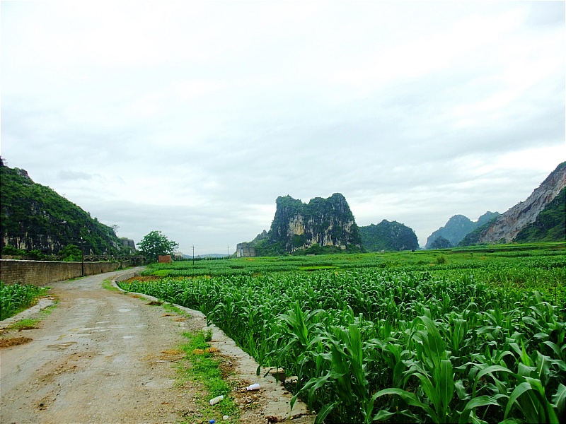 DSCF6593.JPG