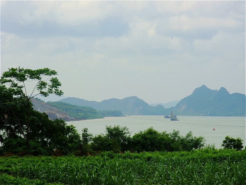 DSCF6594.jpg