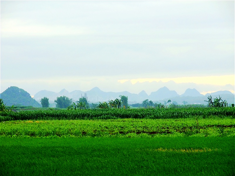 DSCF6595.JPG
