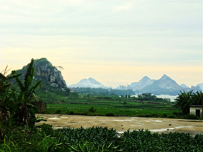 DSCF6613.jpg