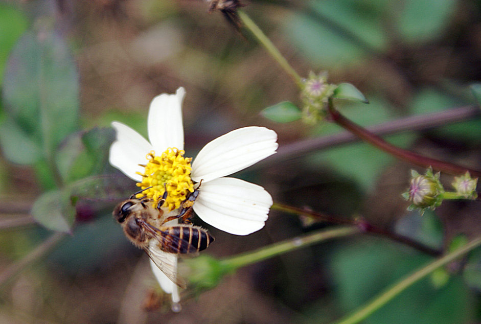 DSC08956.jpg
