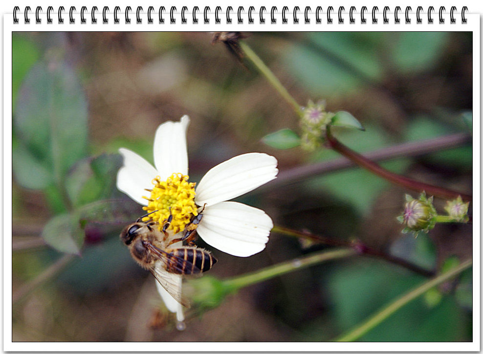 DSC08956_副本.jpg