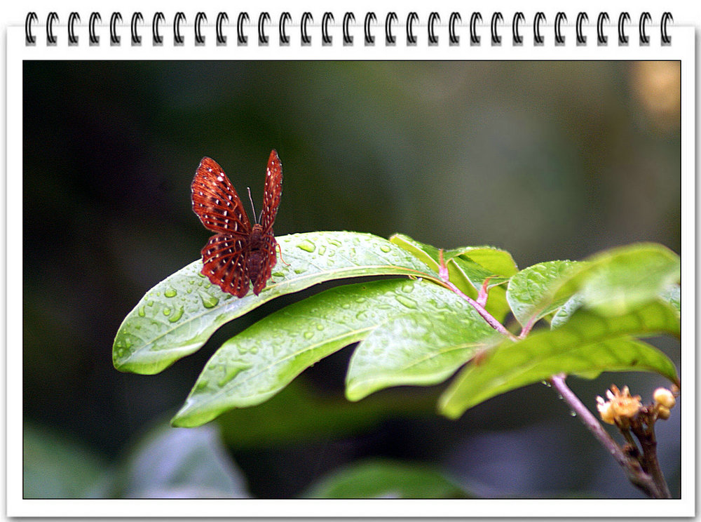 DSC00028_副本.jpg