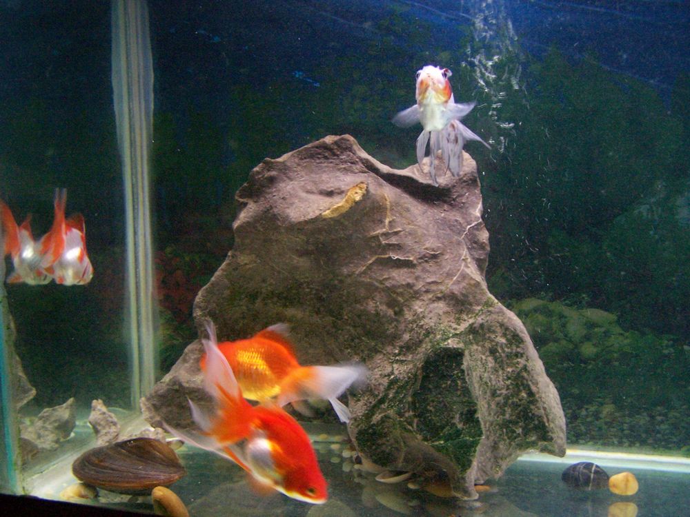 nEO_IMG_101_0006.jpg
