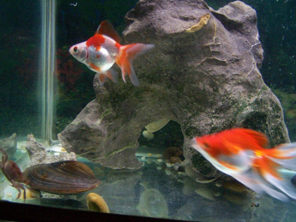nEO_IMG_101_0008.jpg