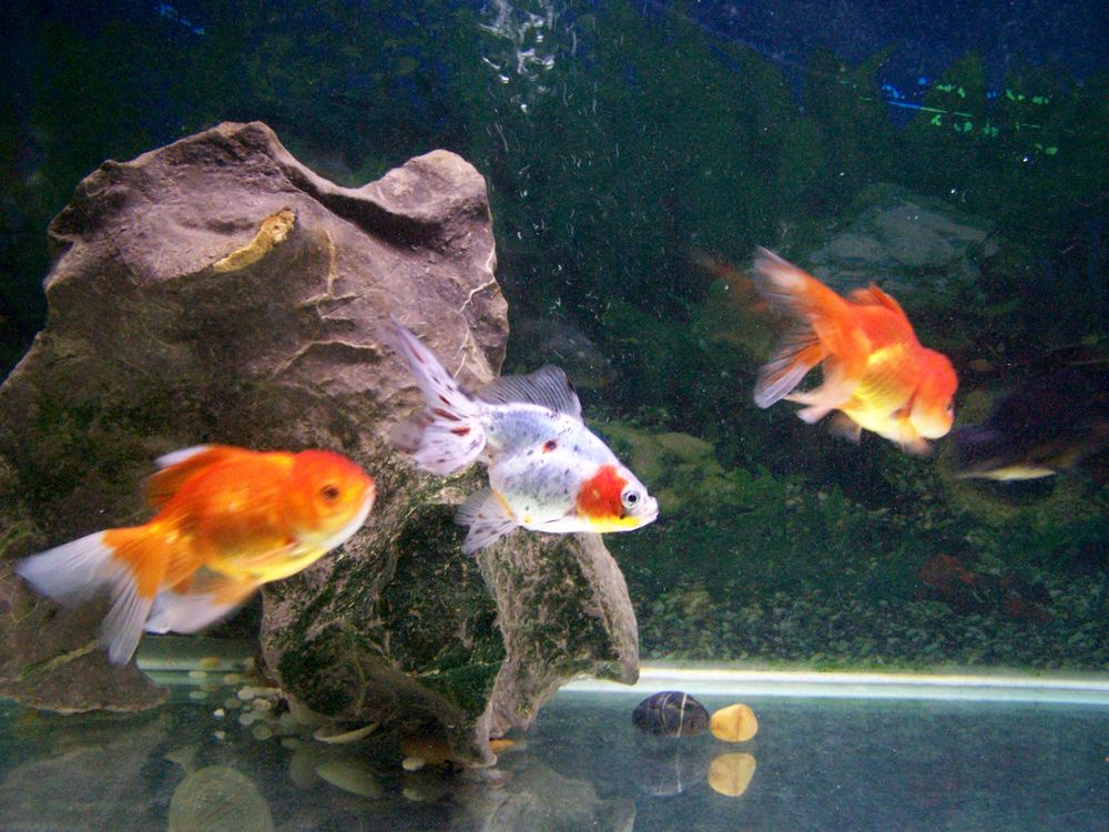 nEO_IMG_101_0044.jpg