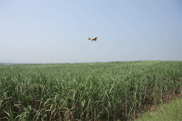 G20090930c.gif