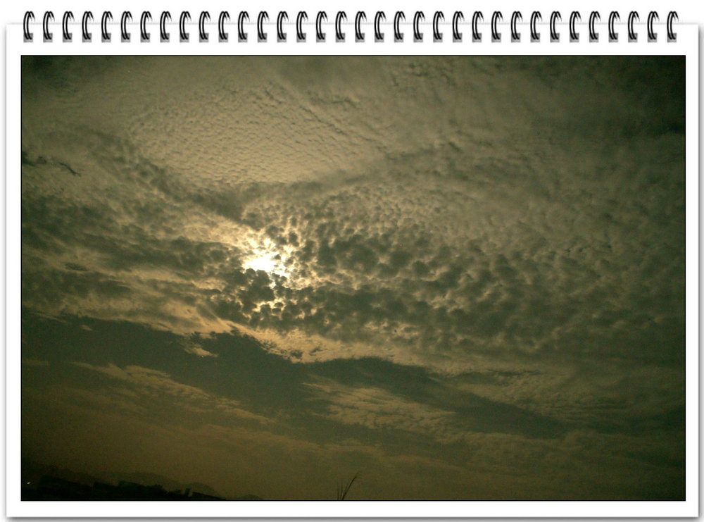 DSC00620.jpg