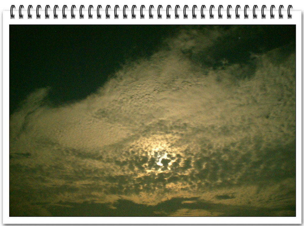 DSC00626.jpg