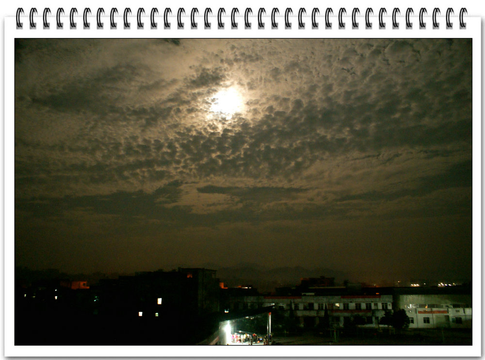 DSC00636.jpg