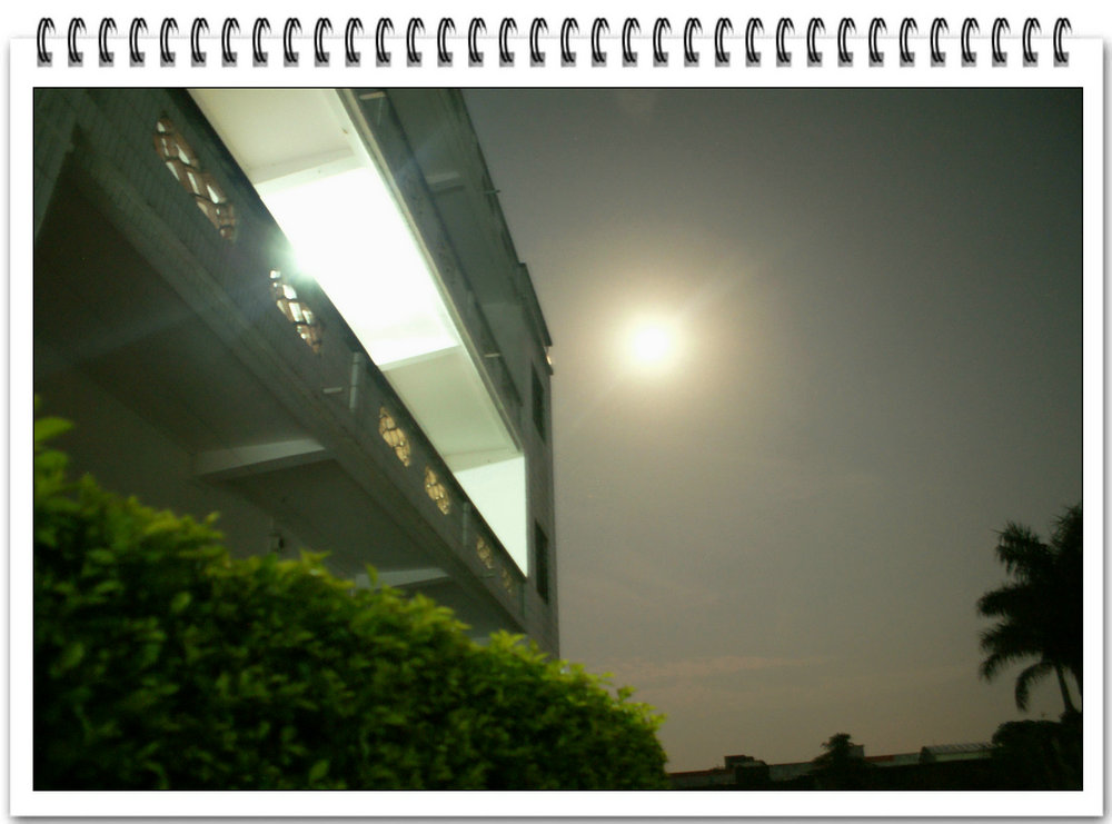 DSC00702.jpg