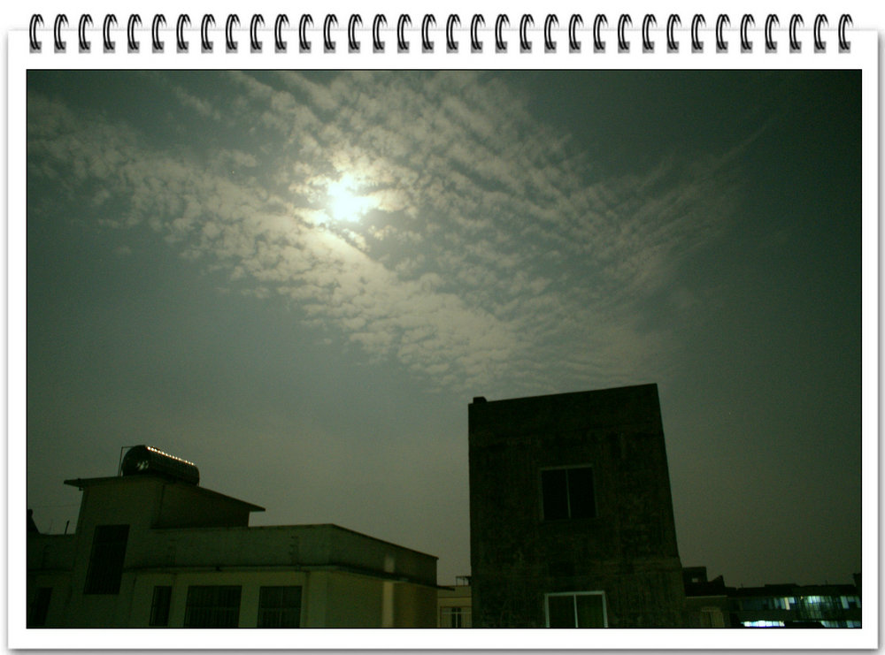 DSC00710.jpg