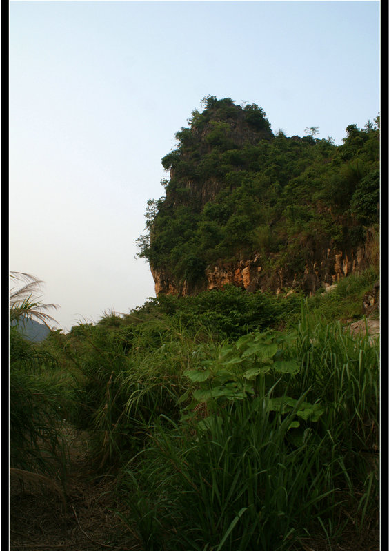 DSC02228.jpg