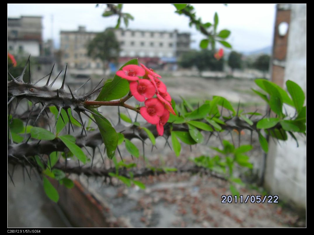 DSCK0384.JPG
