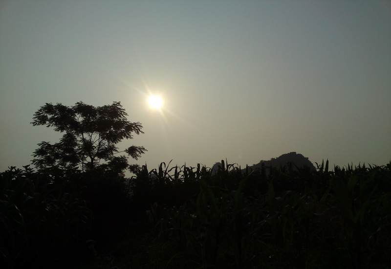 DSC01884.jpg
