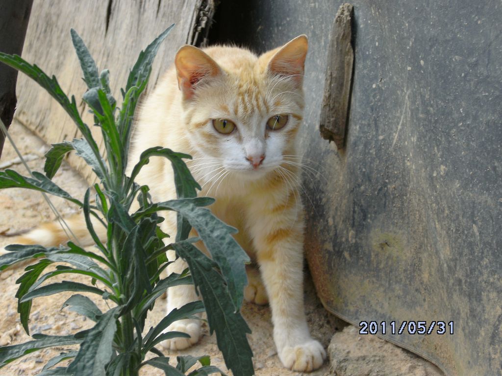 DSCK0584.JPG
