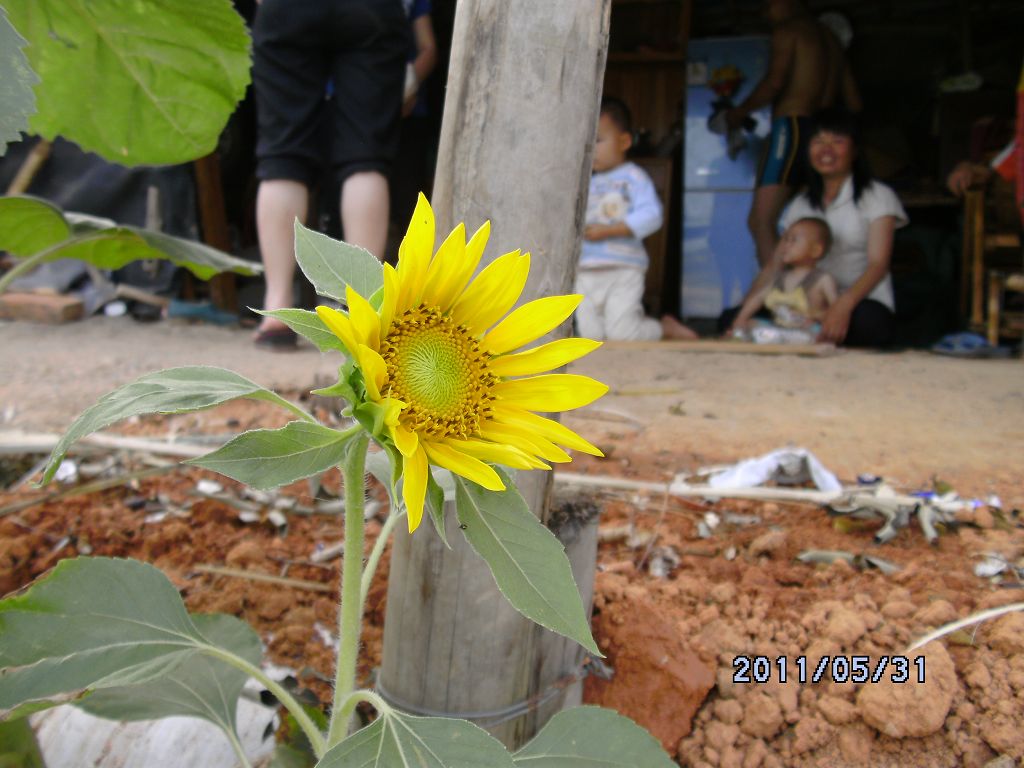 DSCK0595.JPG