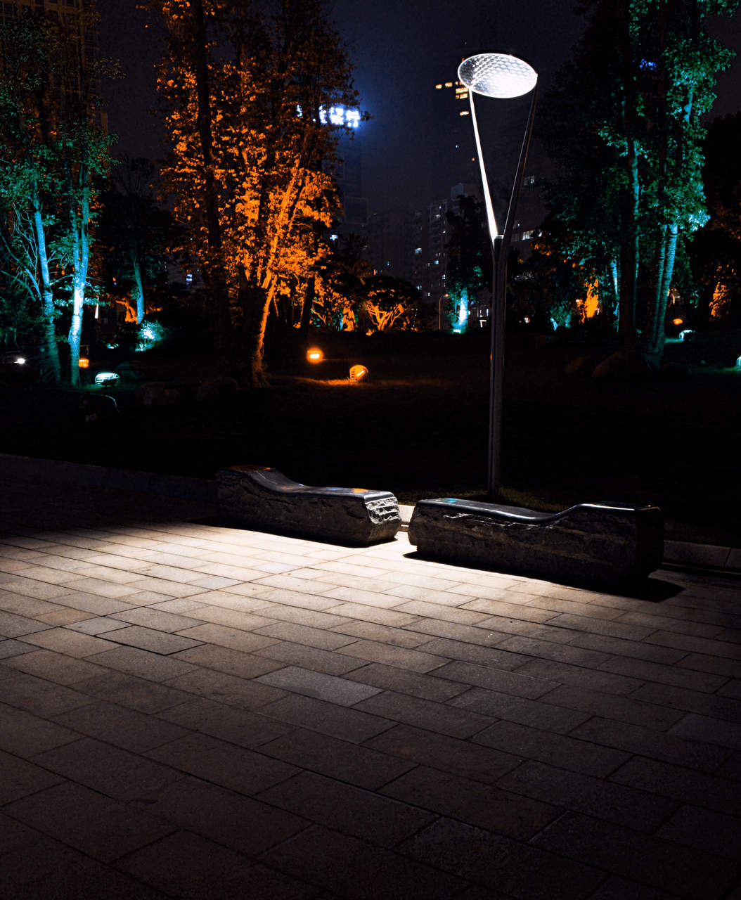 DSC_0124.jpg