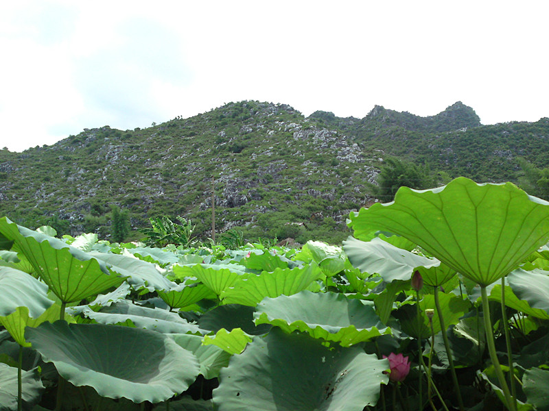 DSC06621_副本.jpg
