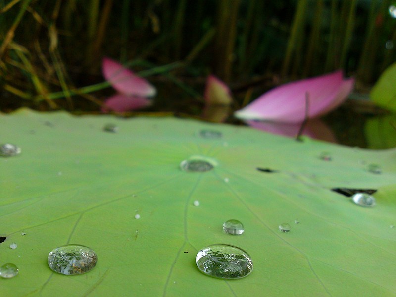 DSC06328_副本.jpg