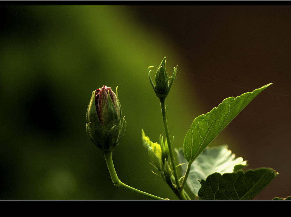 DSC02766.jpg