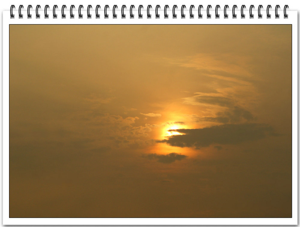DSC03011.jpg