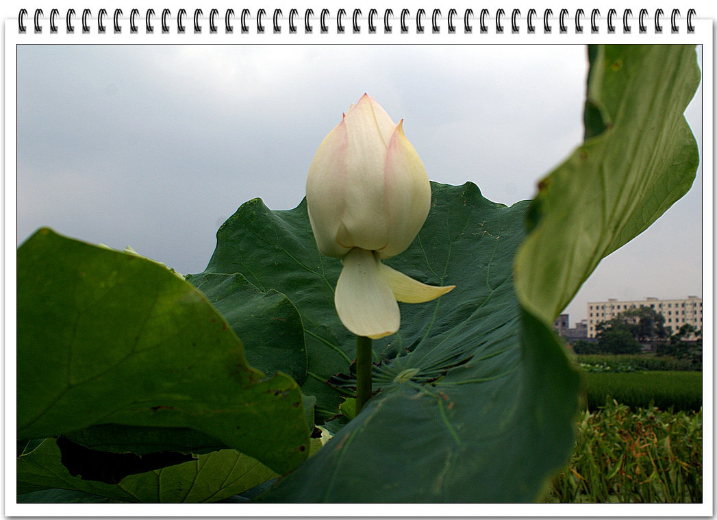 DSC03112.jpg