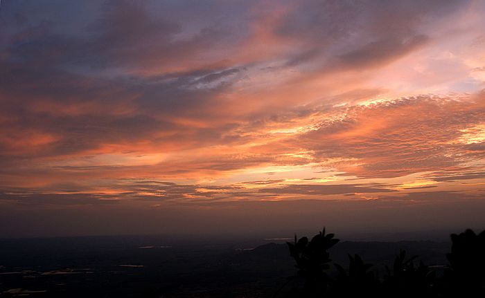 nEO_IMG_DSC00663.jpg