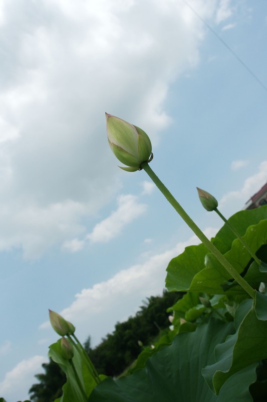 a10219042_s.jpg