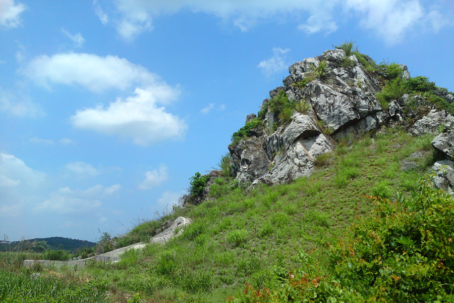 DSC02002_副本.jpg