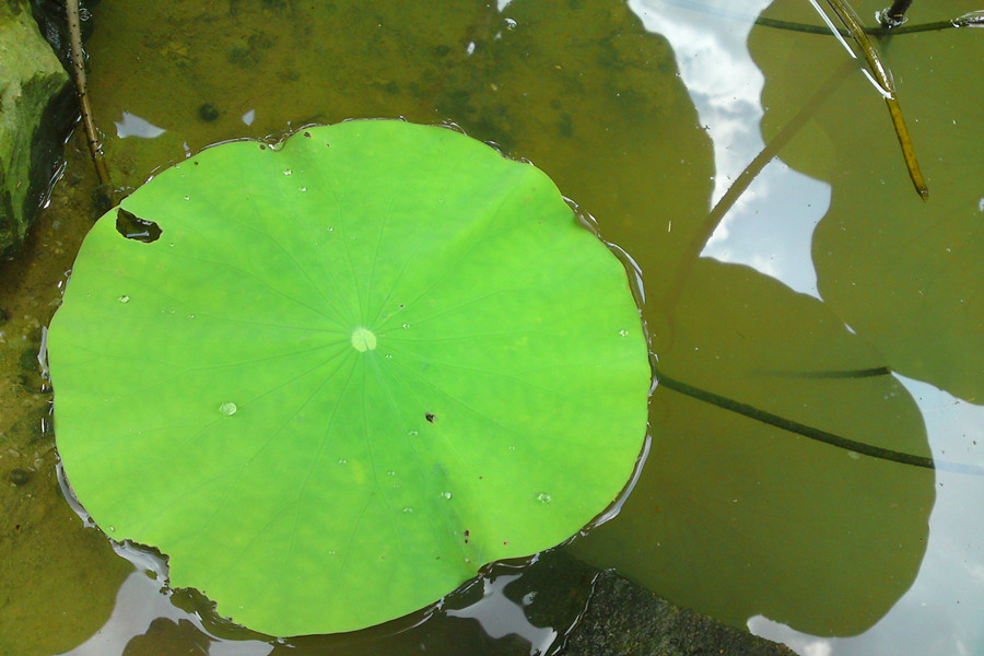 DSC01992_副本.jpg