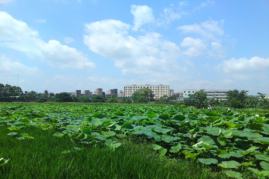 DSC01983_副本.jpg