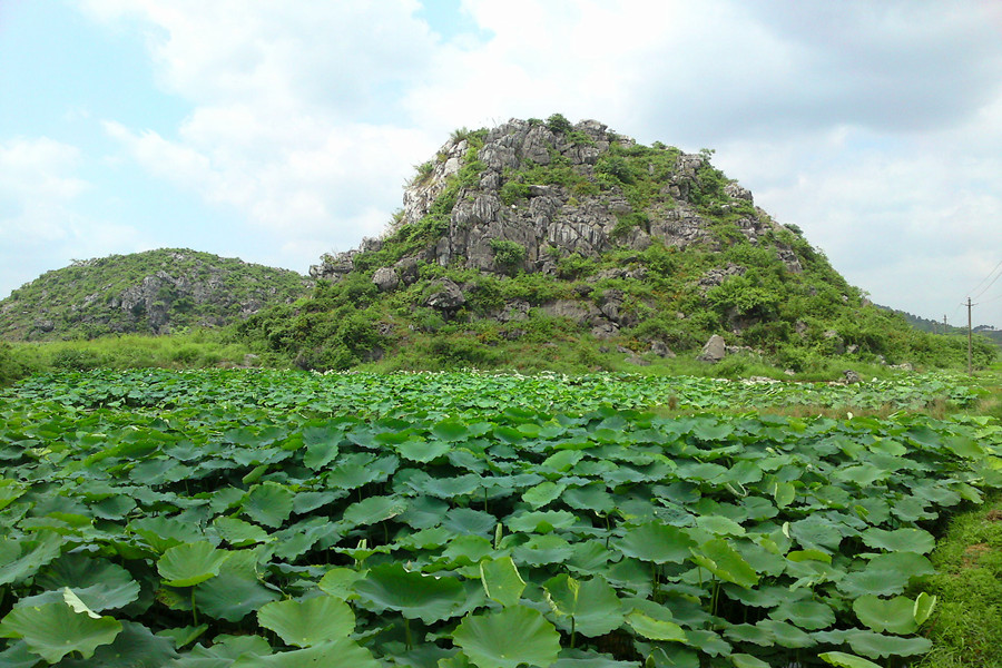 DSC01985_副本.jpg