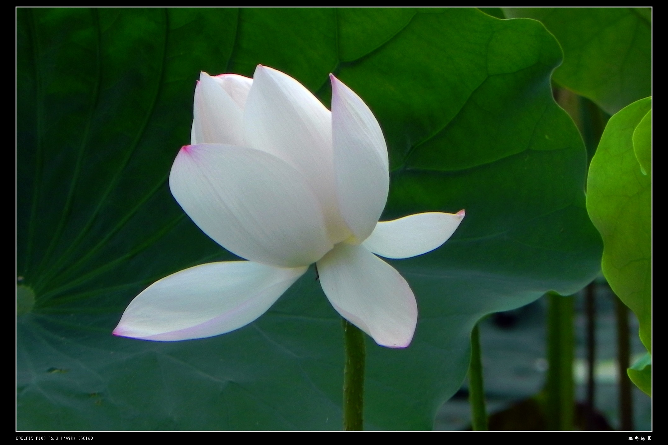 DSCN8776.JPG