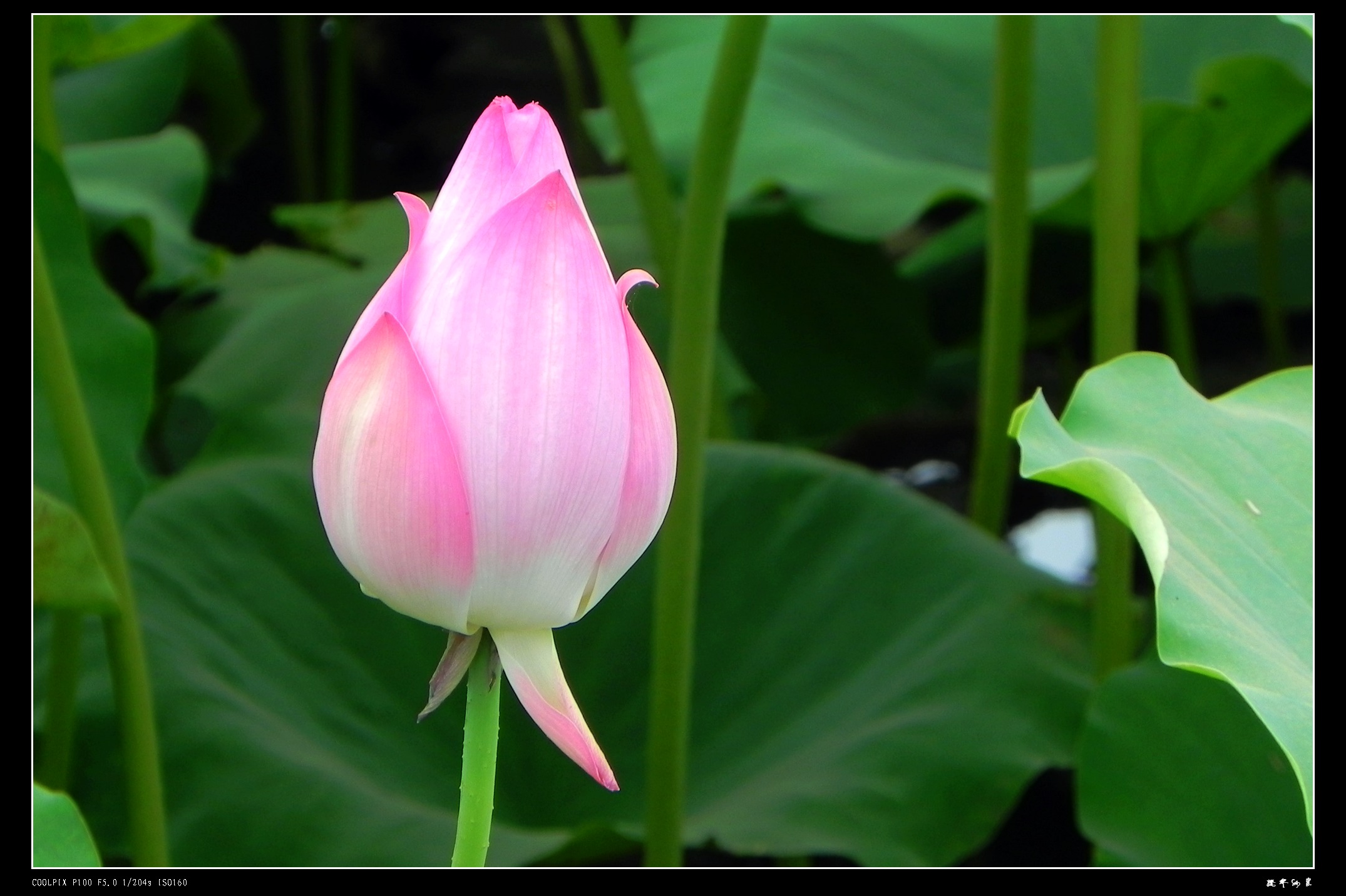 DSCN8830.JPG