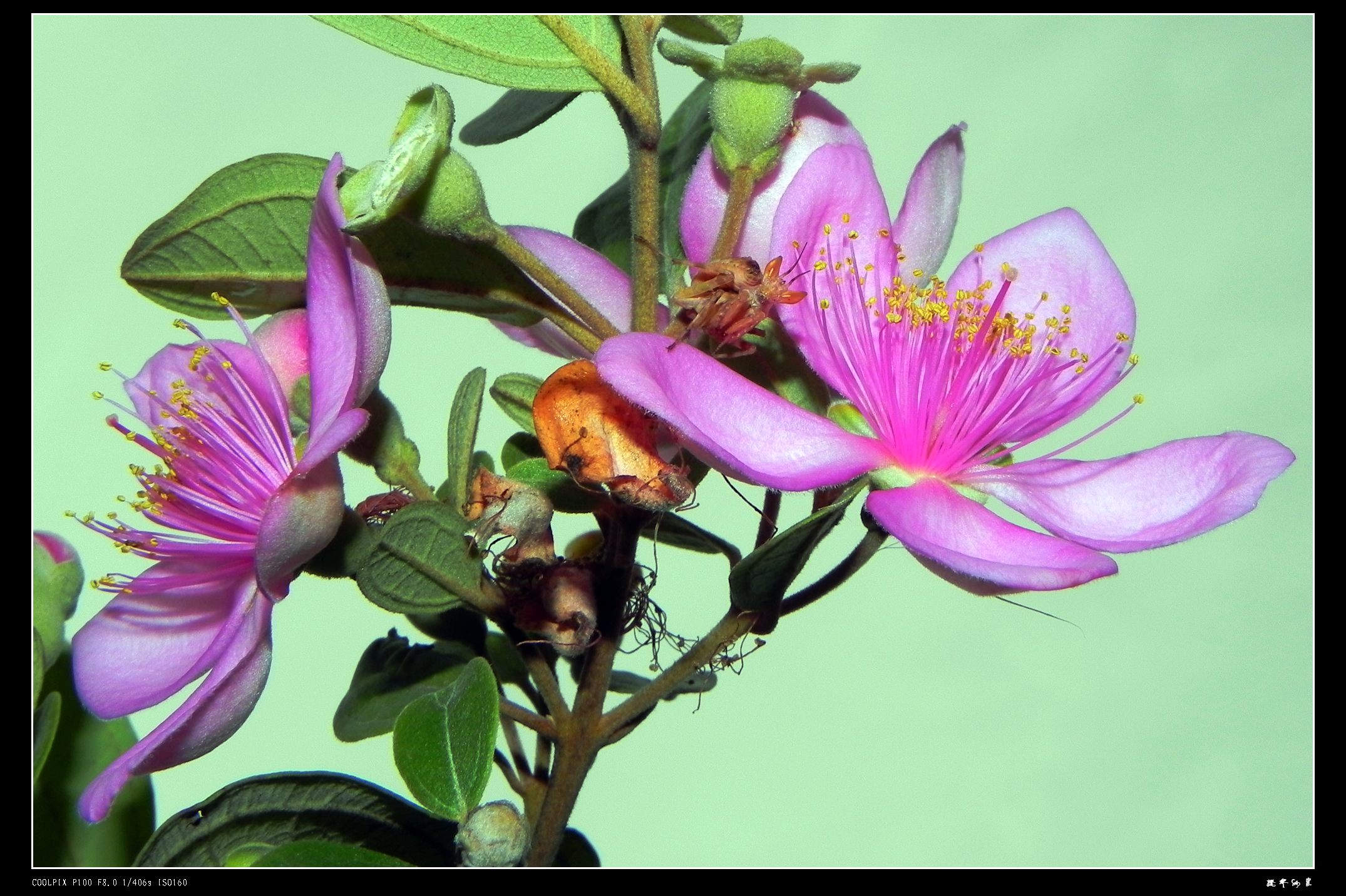 DSCN9050.JPG