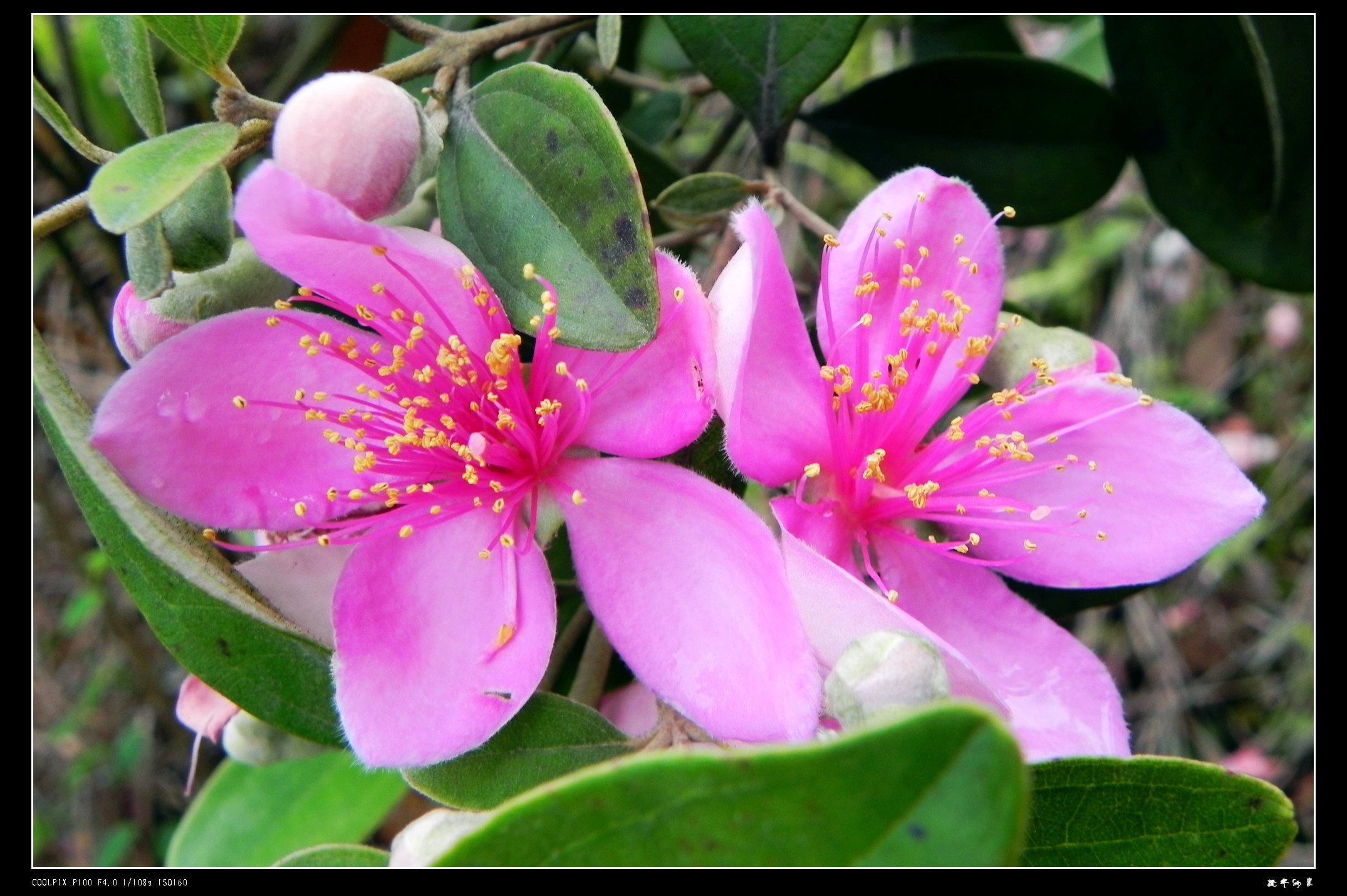 DSCN9072.JPG